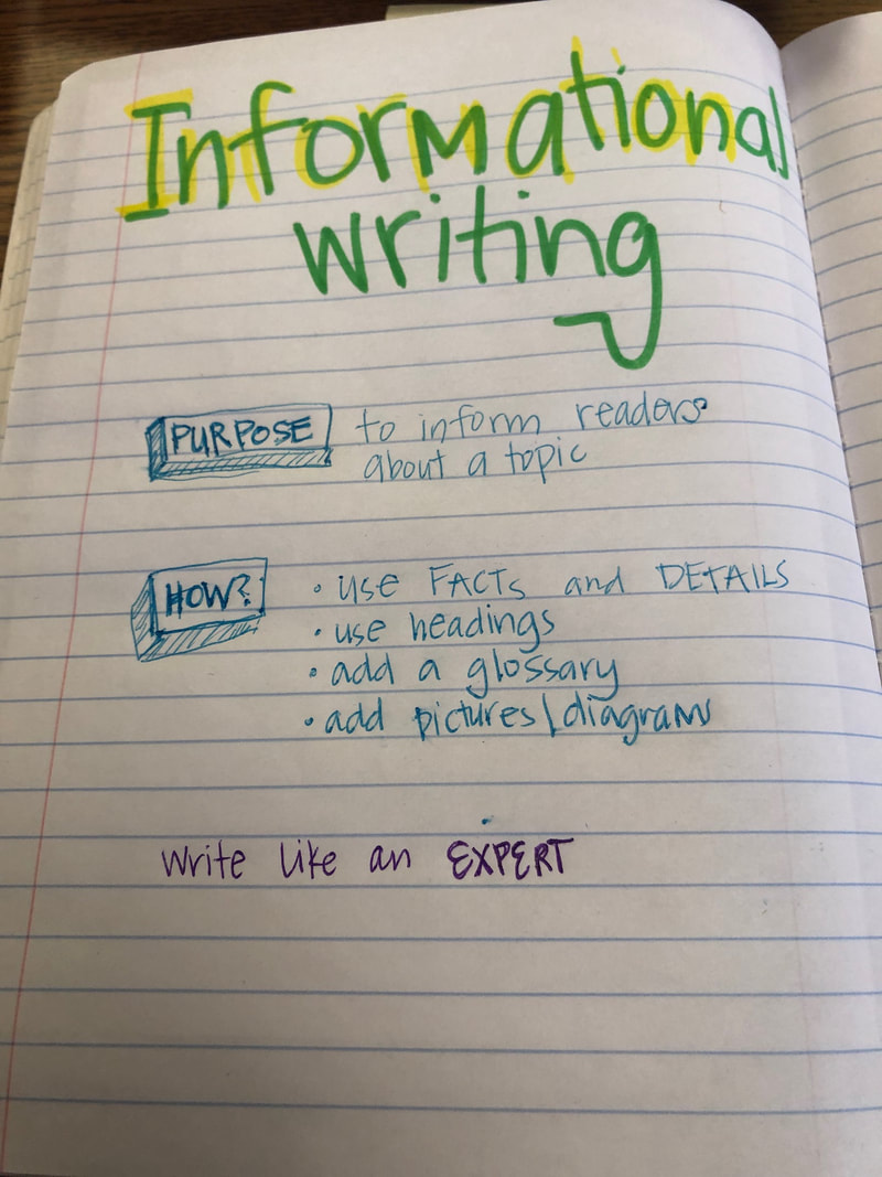 5th grade informative essay outline